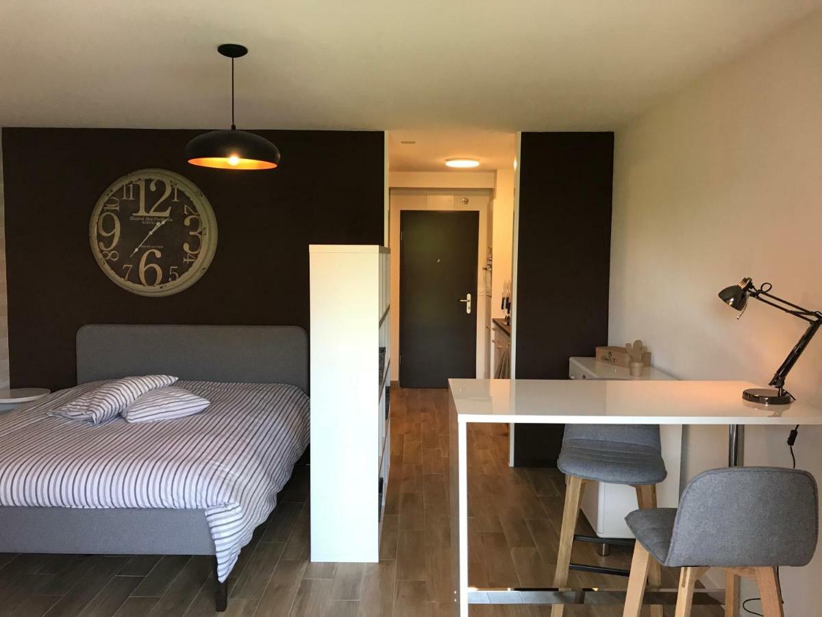 Large Studio Near Epfl And Lausanne City Center Ecublens (Vaud) Exterior foto