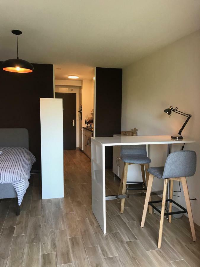 Large Studio Near Epfl And Lausanne City Center Ecublens (Vaud) Exterior foto